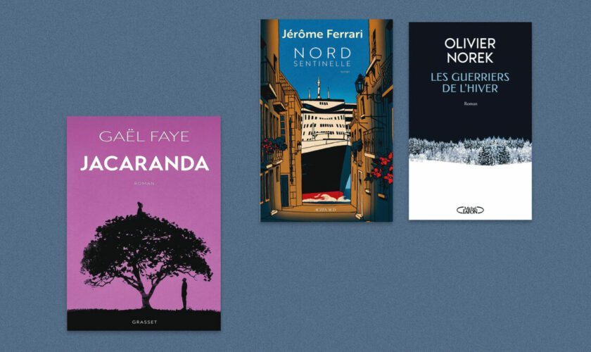 Gaël Faye, Jérôme Ferrari, Olivier Norek… Notre sélection livres de la semaine