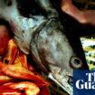 Garden hake and ‘poet’ John Dory: our ignorance about fish is off the scale