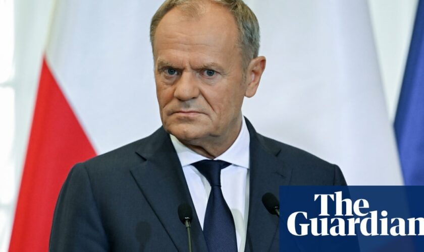 German border plan to stop ‘irregular migration’ unacceptable, says Tusk