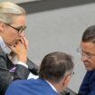 Germany: AfD loses appeal on chairing Bundestag committees