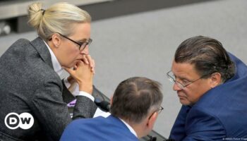 Germany: AfD loses appeal on chairing Bundestag committees