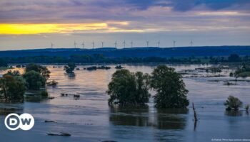 Germany: Flood warnings on Oder river in eastern Brandenburg