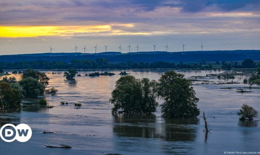 Germany: Flood warnings on Oder river in eastern Brandenburg