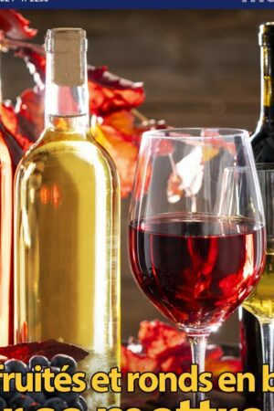 Gorafi Magazine : 8 vins fruités et ronds en bouche pour se mettre une grosse cuite