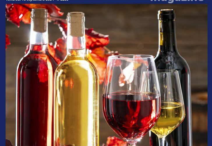 Gorafi Magazine : 8 vins fruités et ronds en bouche pour se mettre une grosse cuite