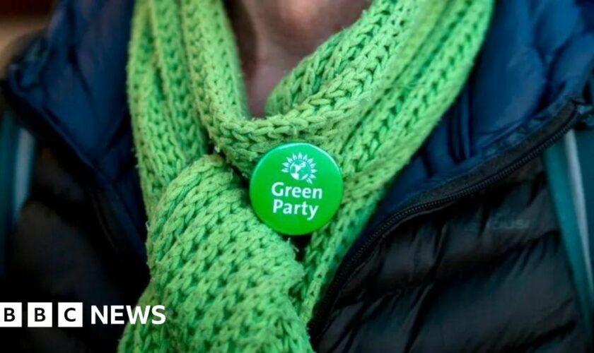 Greens suspend health spokesperson over trans remarks