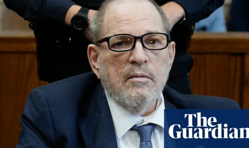 Harvey Weinstein pleads not guilty to new sex crime charge as he awaits retrial