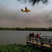 Incendies au Portugal : le bilan porté à sept morts, après le décès de trois pompiers