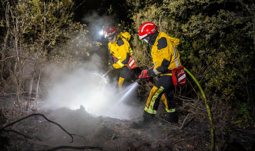 Incendies : trois départs de feu dans les Pyrénées-Orientales, l’autoroute A9 a été coupée