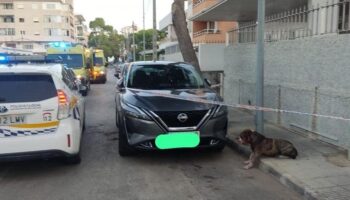 Ingresado un hombre alemán atacado por su pitbull en Mallorca