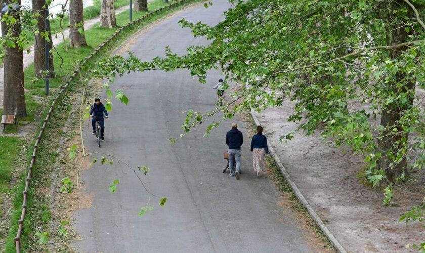 «J’ai laissé ma fille aller seule au bois de Boulogne, j’ai été inconsciente»: à Paris, la peur des parents après le meurtre de Philippine