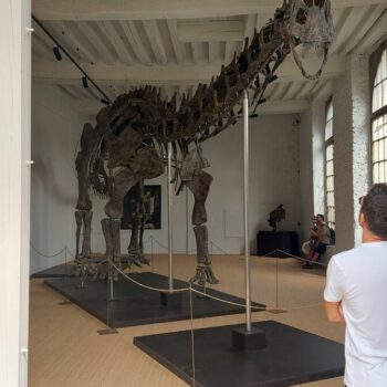 Journées du patrimoine dans les Yvelines : trois idées de sorties avec vos enfants