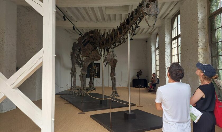 Journées du patrimoine dans les Yvelines : trois idées de sorties avec vos enfants