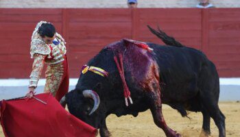 La ganadería de Cuadri cotiza al alza en una tarde de tíos duros en Villaseca