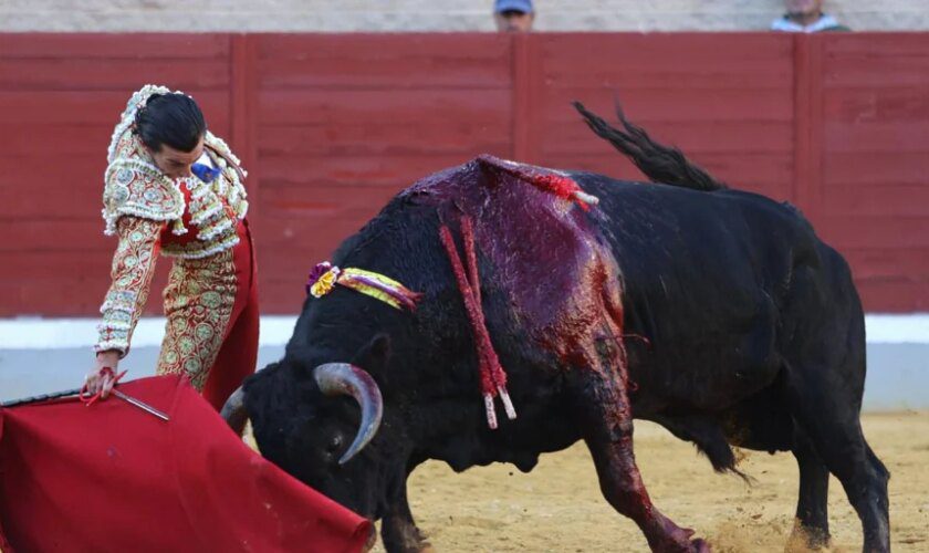 La ganadería de Cuadri cotiza al alza en una tarde de tíos duros en Villaseca