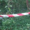 La traque du meurtrier de Philippine, retrouvée enterrée dans le bois de Boulogne, se poursuit