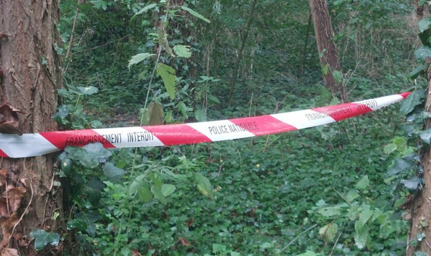 La traque du meurtrier de Philippine, retrouvée enterrée dans le bois de Boulogne, se poursuit