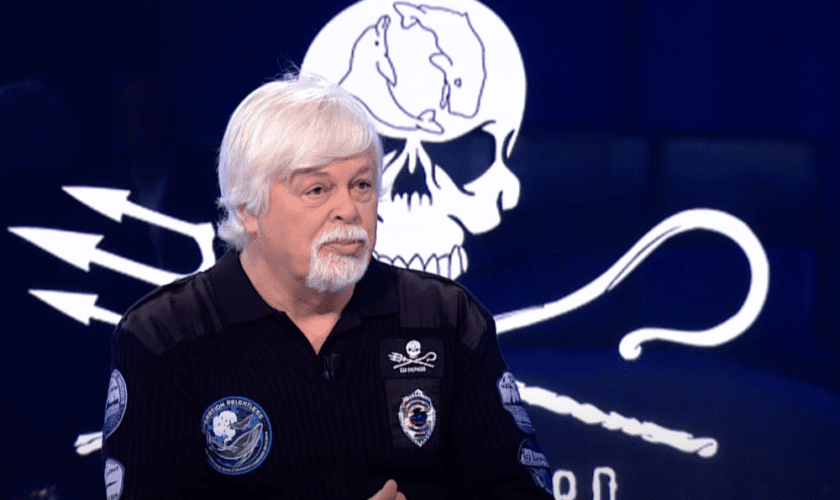 Le Japon affirme que la chasse au Paul Watson est uniquement dans un but scientifique