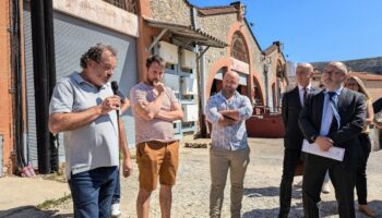 « Le vignoble est épuisé par trois ans de sécheresse » : dans les Pyrénées-Orientales, la récolte s’annonce très faible