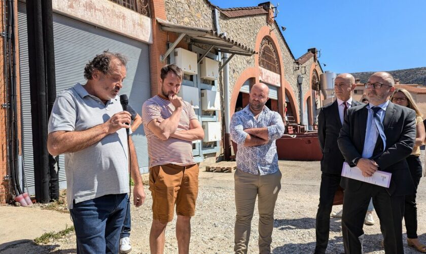 « Le vignoble est épuisé par trois ans de sécheresse » : dans les Pyrénées-Orientales, la récolte s’annonce très faible