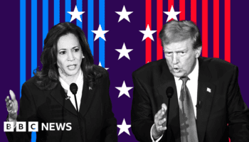 'Left-wing lunatic' and 'a disgrace': How Trump and Harris describe each other