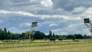 Maisons-Laffitte : piste, tribunes… des travaux lancés pour un hippodrome « rénové, restructuré »