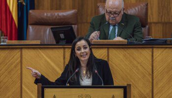 Mercedes Rodríguez Tamayo dimite como parlamentaria andaluza de Vox para centrarse en la «familia»