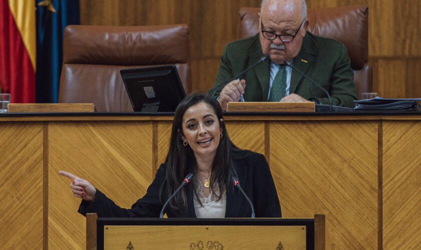 Mercedes Rodríguez Tamayo dimite como parlamentaria andaluza de Vox para centrarse en la «familia»