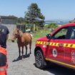 Muere un trabajador del servicio de emergencias de Sanxenxo tras electrocutarse en su casa