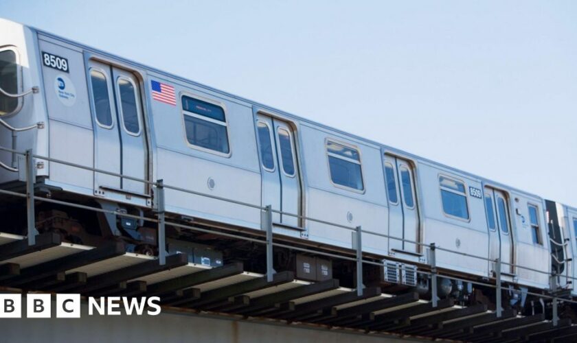 New York pair accused of driving away in subway train