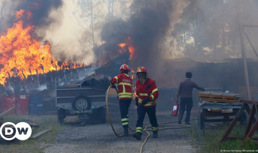 Portugal: Firefighters battle dozens of deadly wildfires