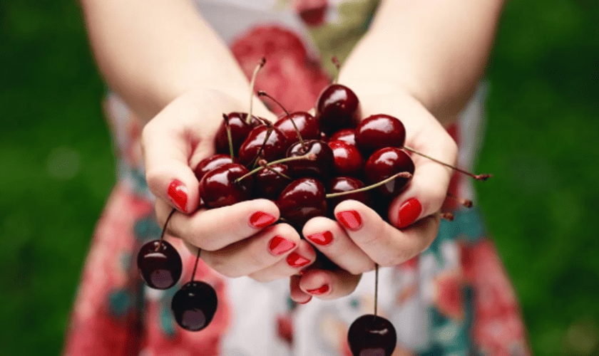 Qué pasa en nuestro cuerpo si comemos cerezas todos los días y cómo afecta a las personas con sobrepeso