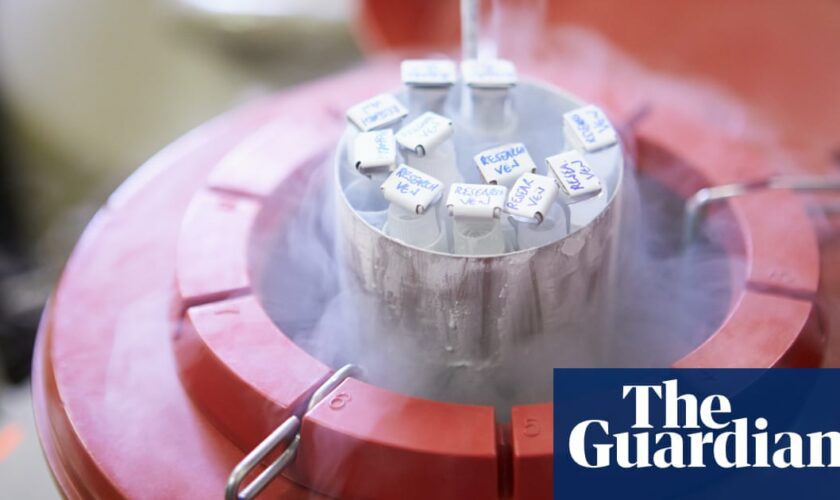 Queensland’s crackdown on IVF clinics fuels push for national donor registry