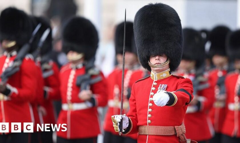 Soaring cost of King’s Guards' real fur bearskin caps revealed