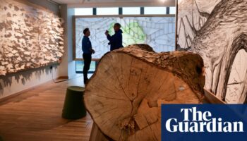 Sycamore Gap tree exhibition opens to mark a year since its felling