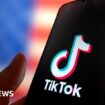 TikTok says US ban would have "staggering" impact on users' free speech