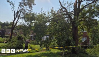 Tornado in Hampshire town damages properties and blows over trees