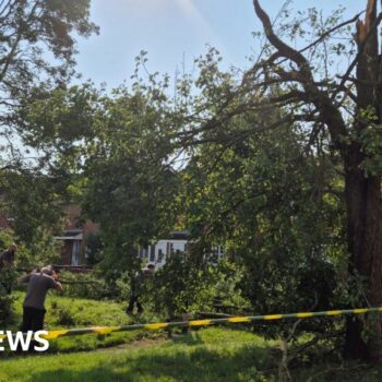 Tornado in Hampshire town damages properties and blows over trees