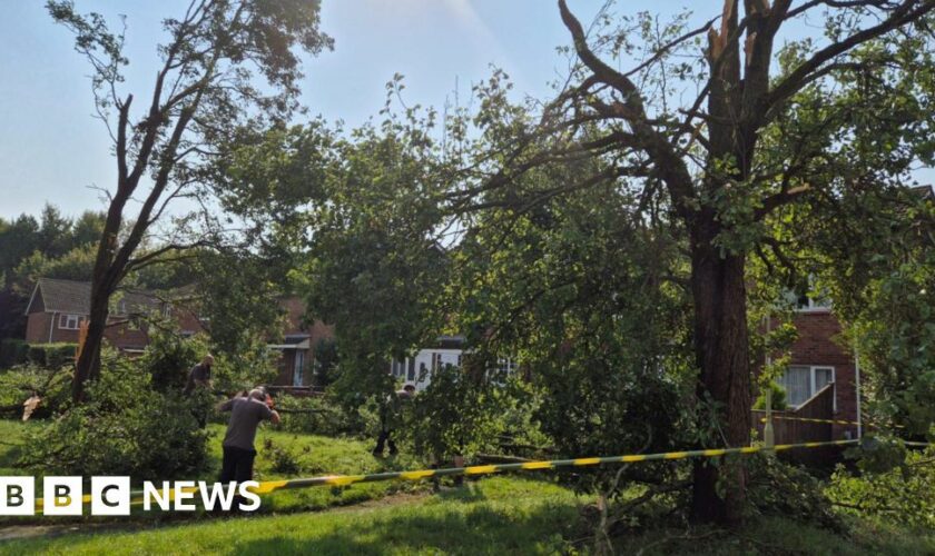 Tornado in Hampshire town damages properties and blows over trees