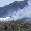 Un incendio de vegetación en Benifaió (Valencia) obliga a interrumpir la circulación ferroviaria