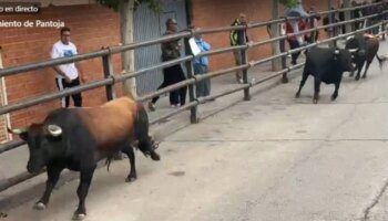 Un muerto y tres heridos, entre ellos una niña, tras escaparse un toro de un encierro en Pantoja (Toledo)