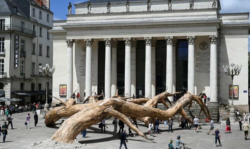 « Voyage à Nantes » : l’art redonne leur place aux arbres remarquables