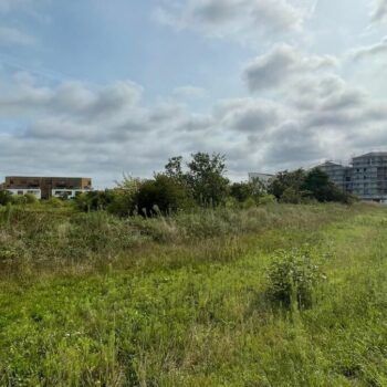 Yvelines : Carrières-sous-Poissy aura bientôt son lycée