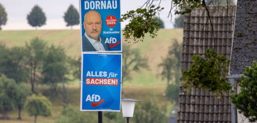 Jörg Dornau: AfD begrüßt Ermittlungen gegen ihren Abgeordneten