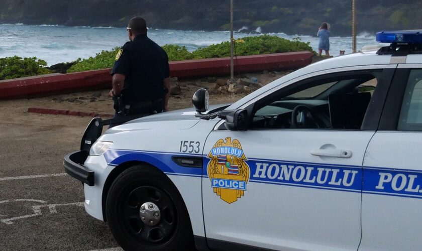 Hawaiian fast-food worker fatally stabbed during altercation with customer: reports