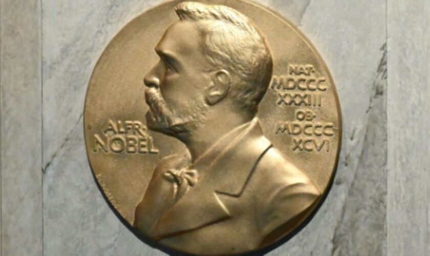 Nobelpreis-Plakette