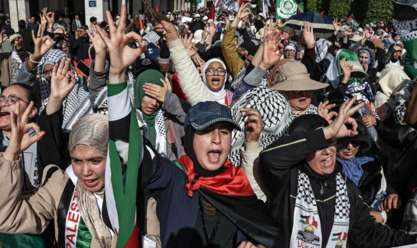 Dans les pays arabes, le timide soutien aux Palestiniens de Gaza