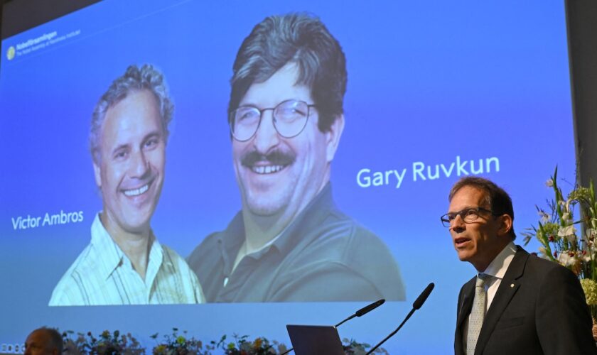 Victor Ambros et Gary Ruvkum ont remporté le prix Nobel de médecine le 7 octobre 2024 pour la découverte du microARN et son rôle dans la régulation de l'activité des gènes.