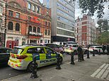 Boy, 15, is stabbed at Sloane Square Tube station