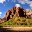 Man falls 200 feet to his death at Utah's Zion National Park